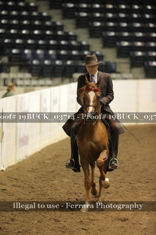 Proof 19BUCK_03714
