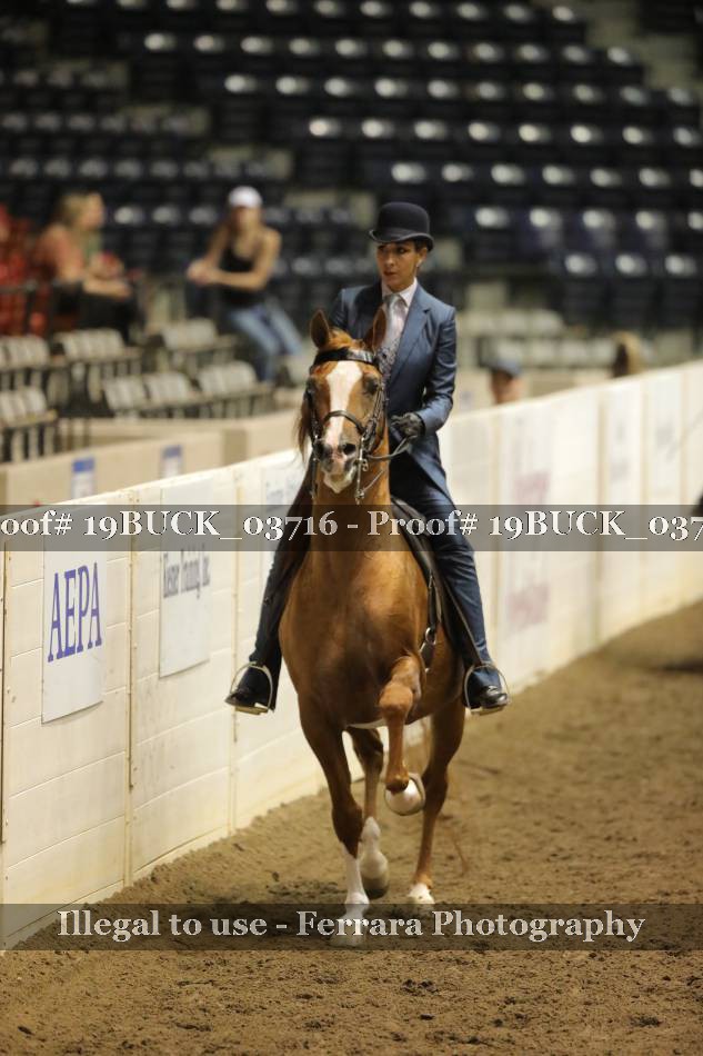 Proof 19BUCK_03716