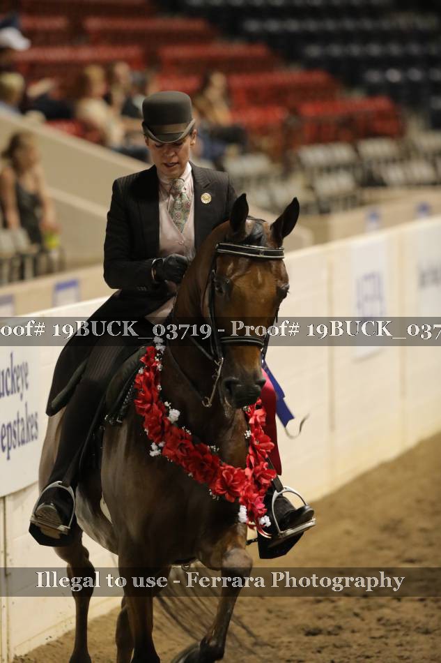 Proof 19BUCK_03719