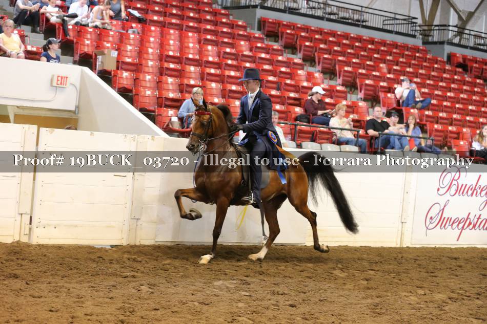 Proof 19BUCK_03720