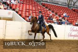 19BUCK_03720 proof