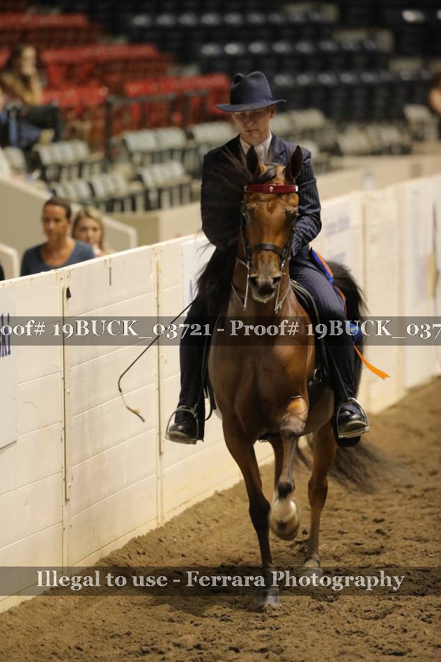Proof 19BUCK_03721