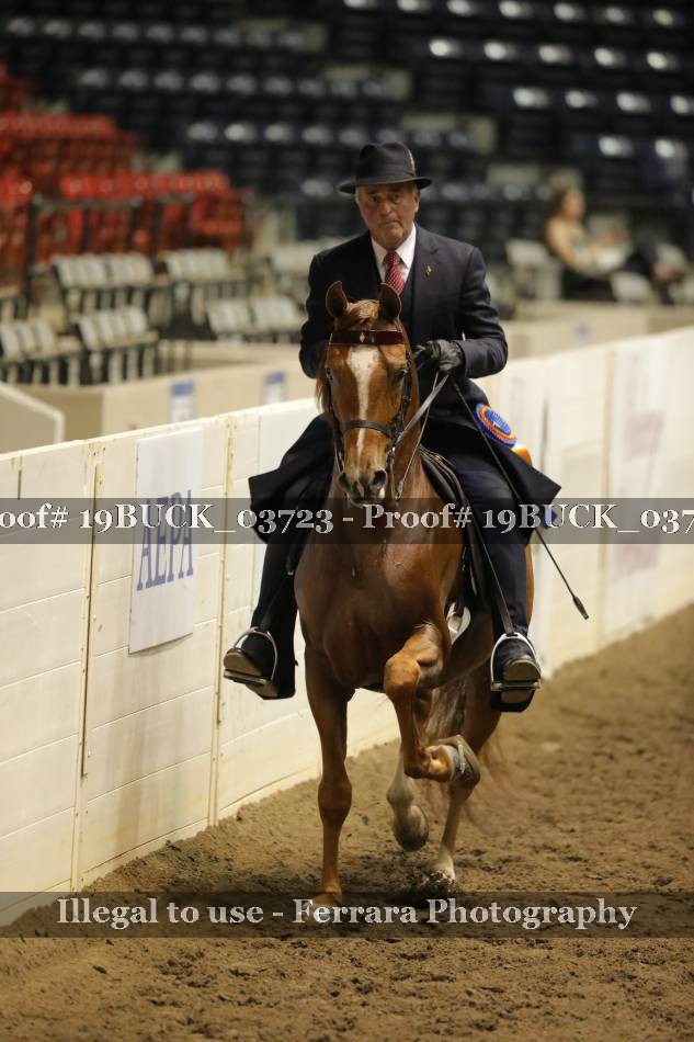 Proof 19BUCK_03723