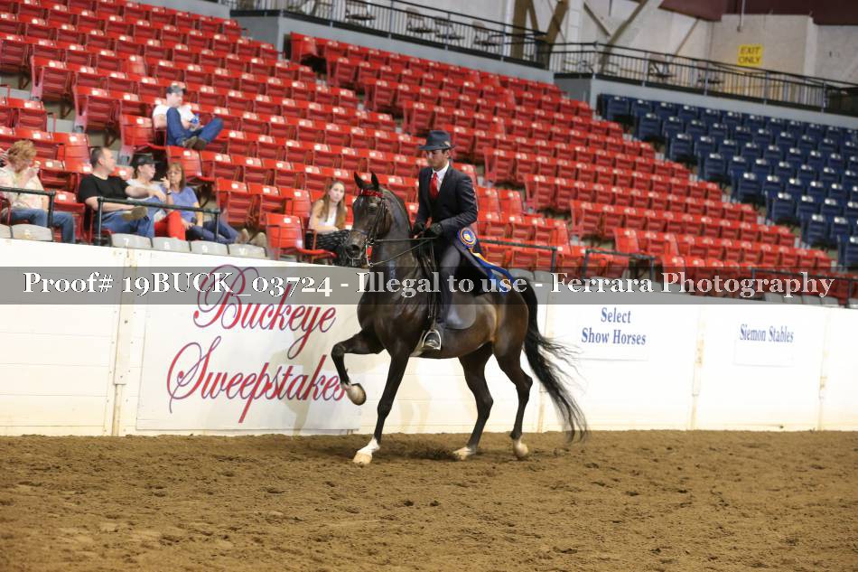 Proof 19BUCK_03724