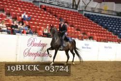 19BUCK_03724 proof