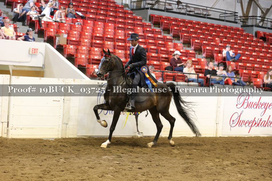 Proof 19BUCK_03725