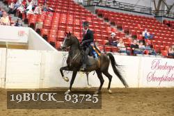 19BUCK_03725 proof