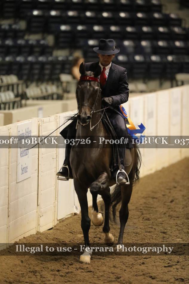 Proof 19BUCK_03726