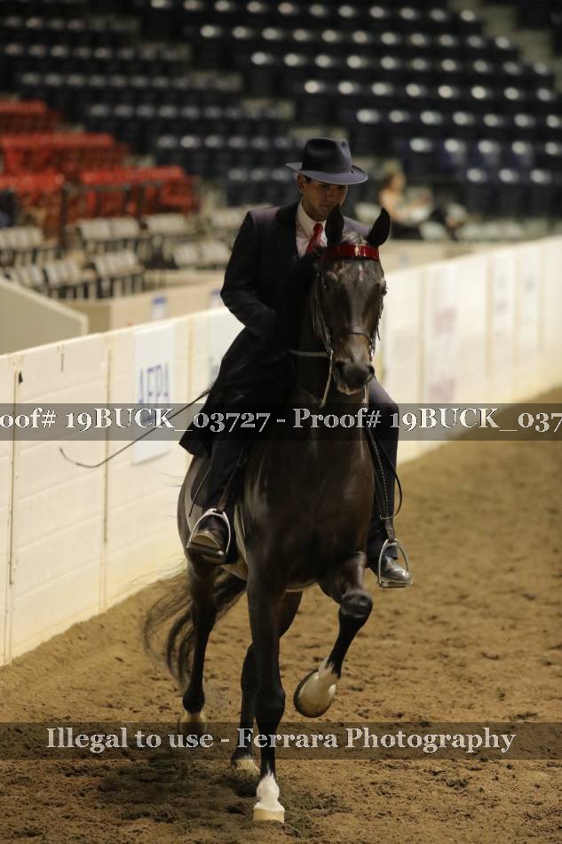 Proof 19BUCK_03727