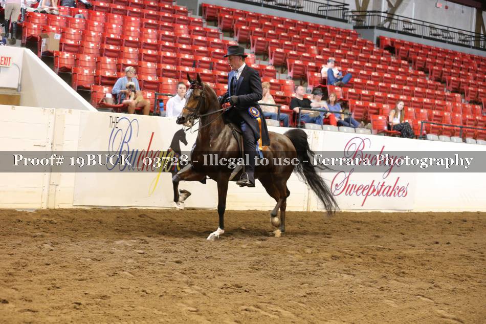 Proof 19BUCK_03728