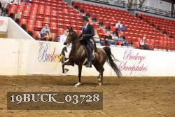 19BUCK_03728 proof