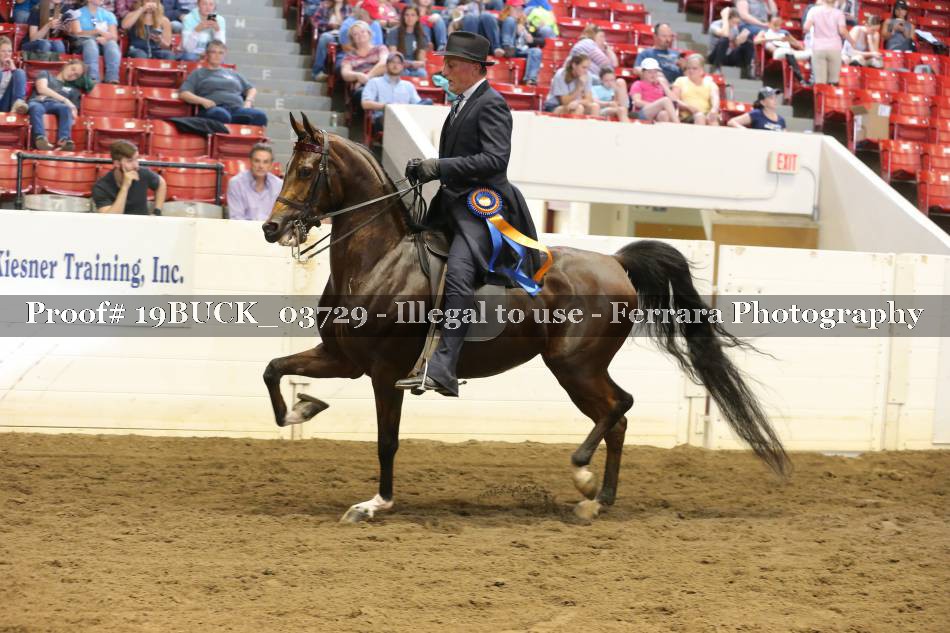 Proof 19BUCK_03729