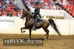 19BUCK_03729 proof