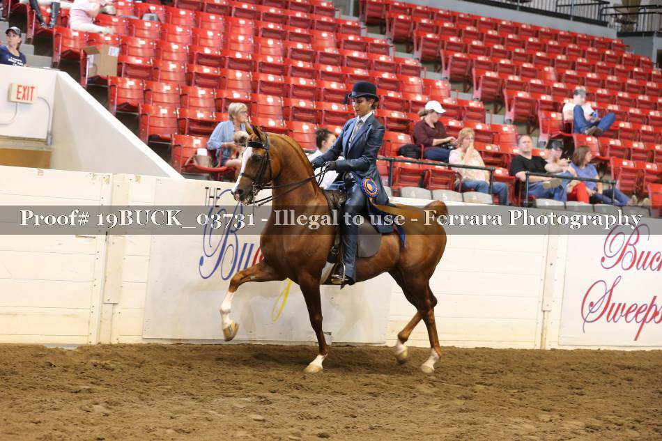 Proof 19BUCK_03731