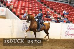 19BUCK_03731 proof