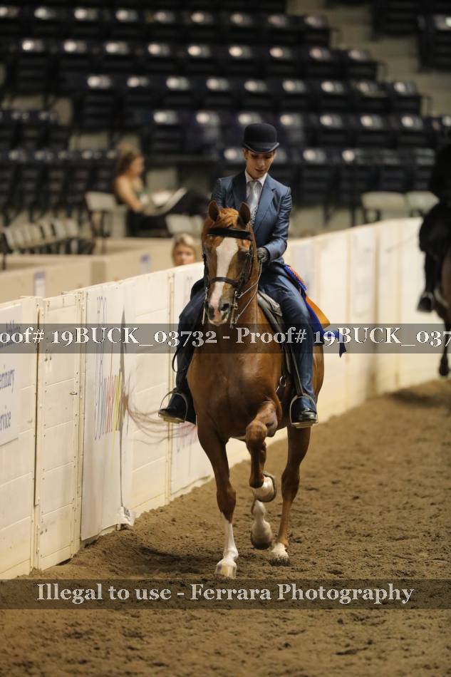 Proof 19BUCK_03732