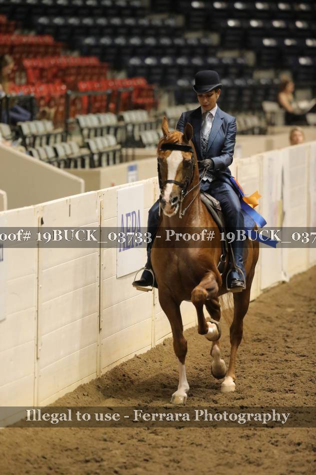 Proof 19BUCK_03733