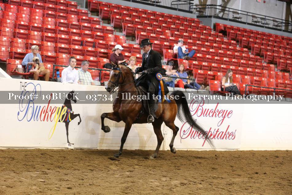Proof 19BUCK_03734