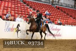 19BUCK_03734 proof