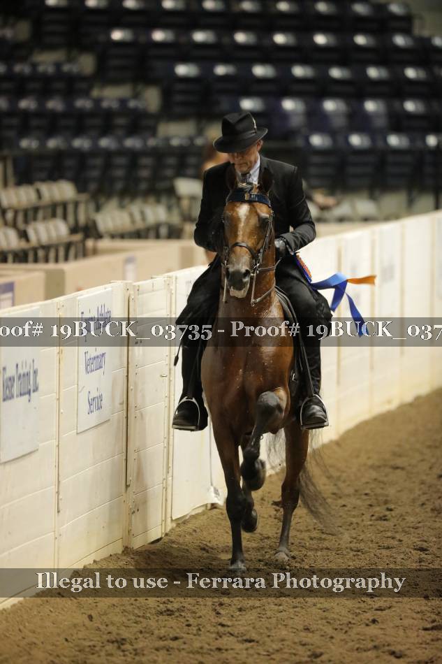 Proof 19BUCK_03735