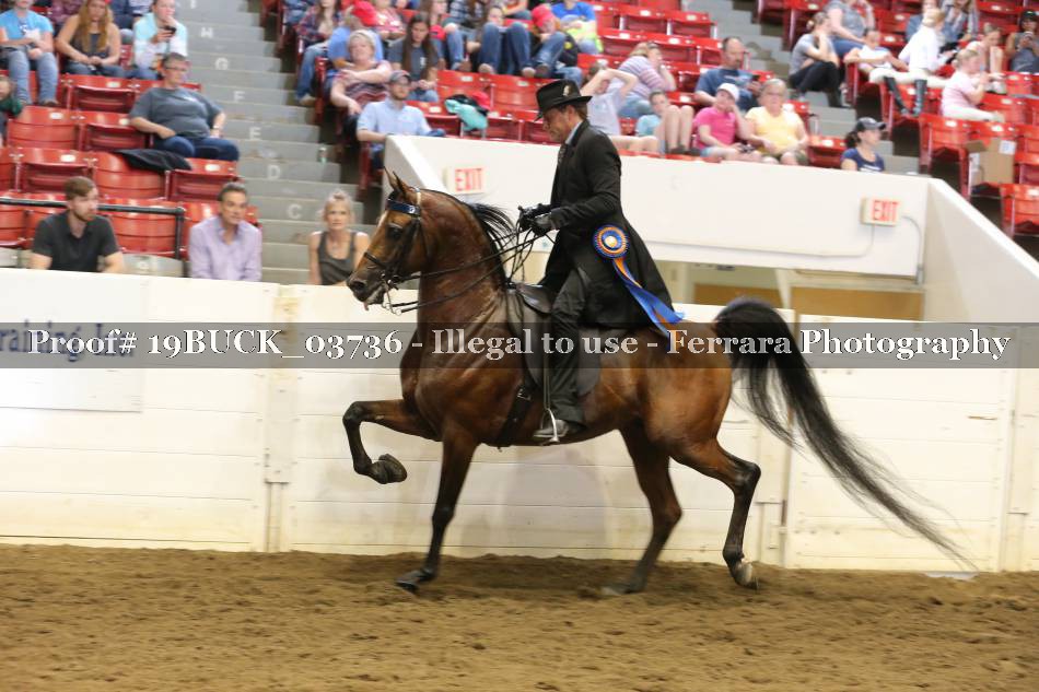 Proof 19BUCK_03736