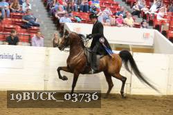 19BUCK_03736 proof