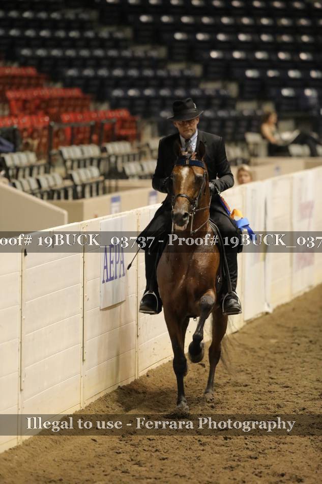 Proof 19BUCK_03737