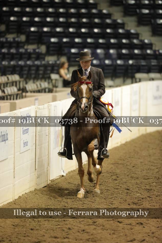 Proof 19BUCK_03738