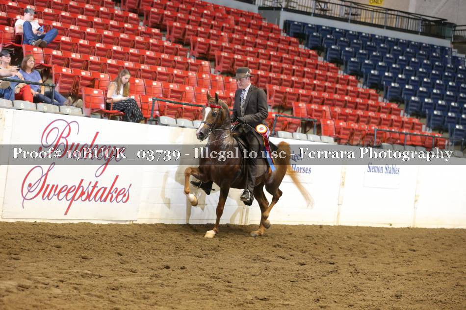 Proof 19BUCK_03739