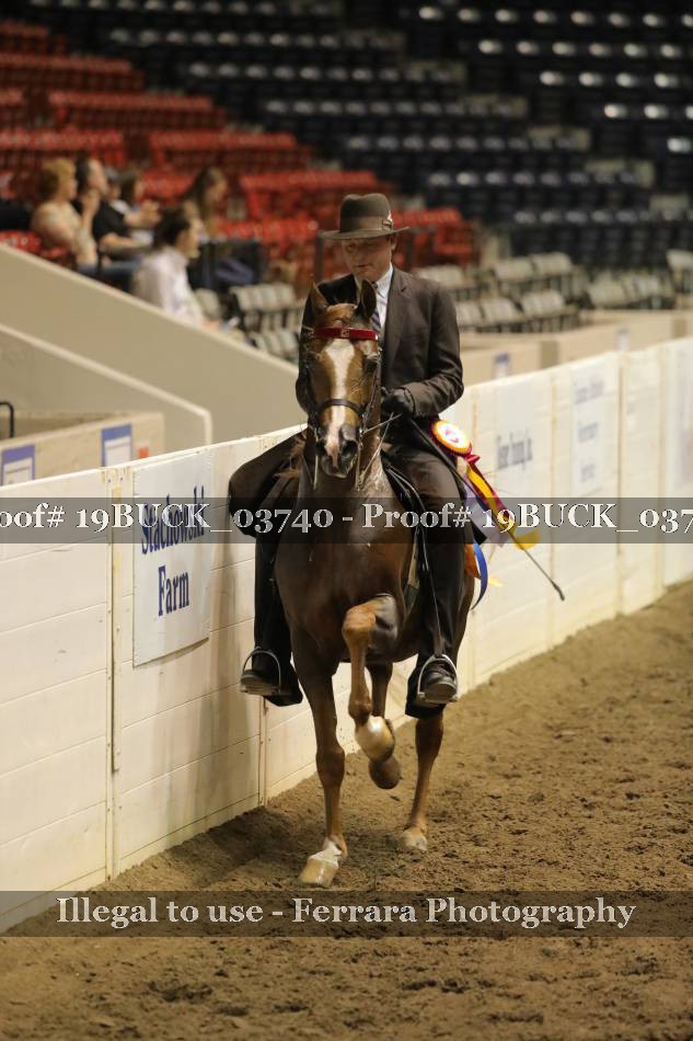 Proof 19BUCK_03740