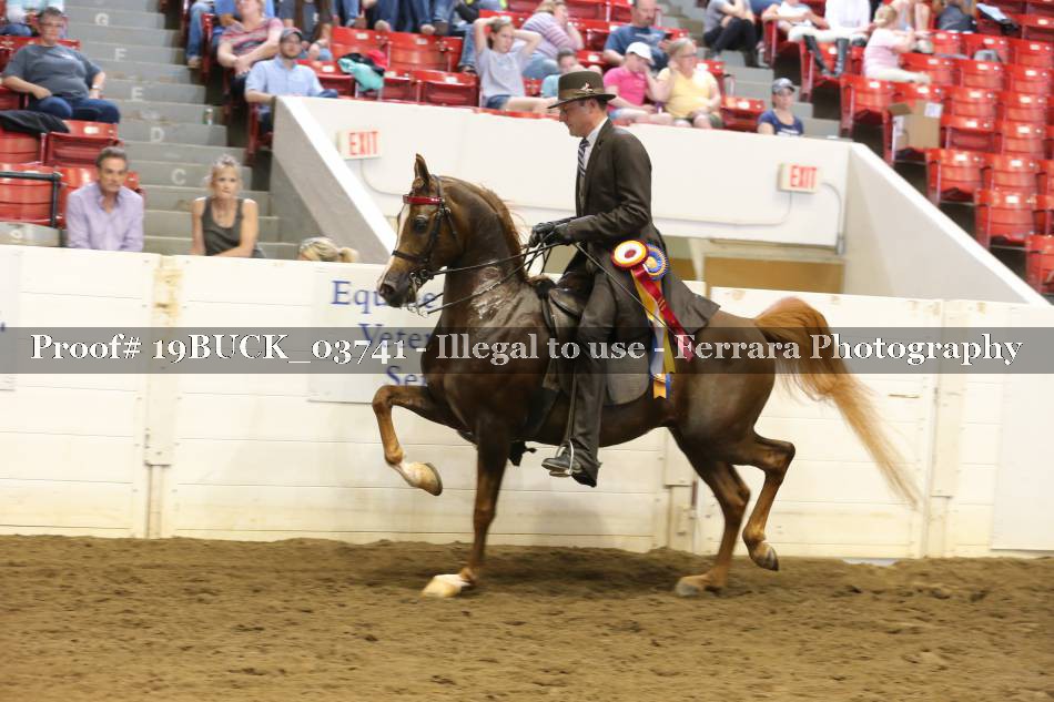 Proof 19BUCK_03741