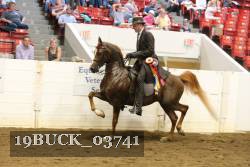 19BUCK_03741 proof