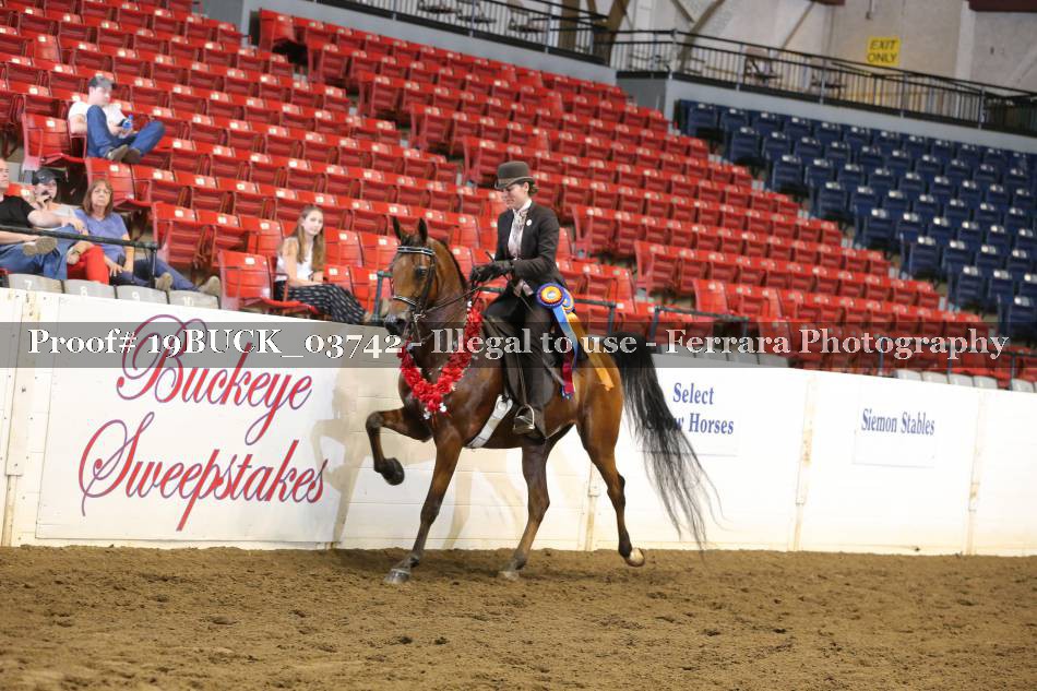Proof 19BUCK_03742