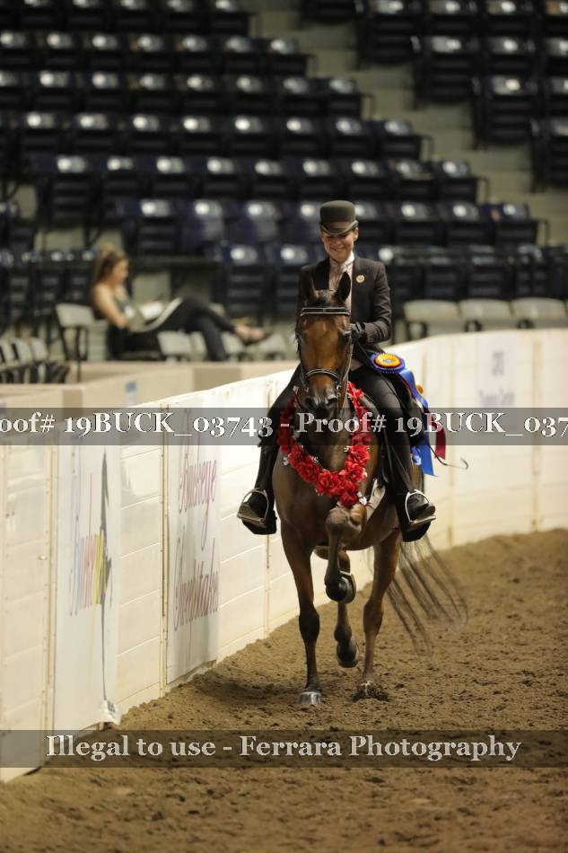 Proof 19BUCK_03743