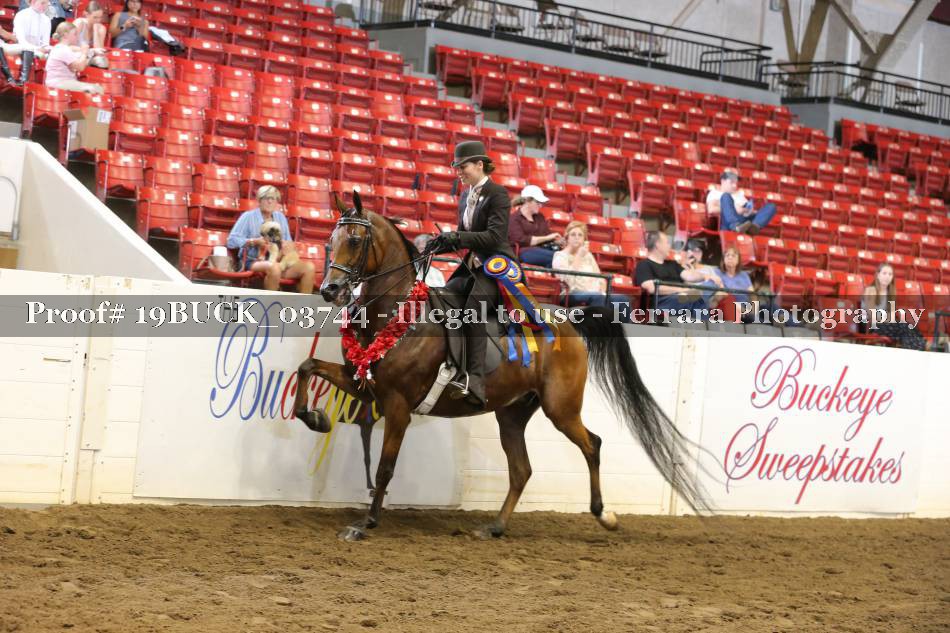 Proof 19BUCK_03744