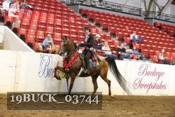 19BUCK_03744 proof