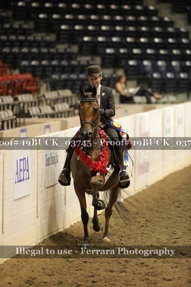 Proof 19BUCK_03745