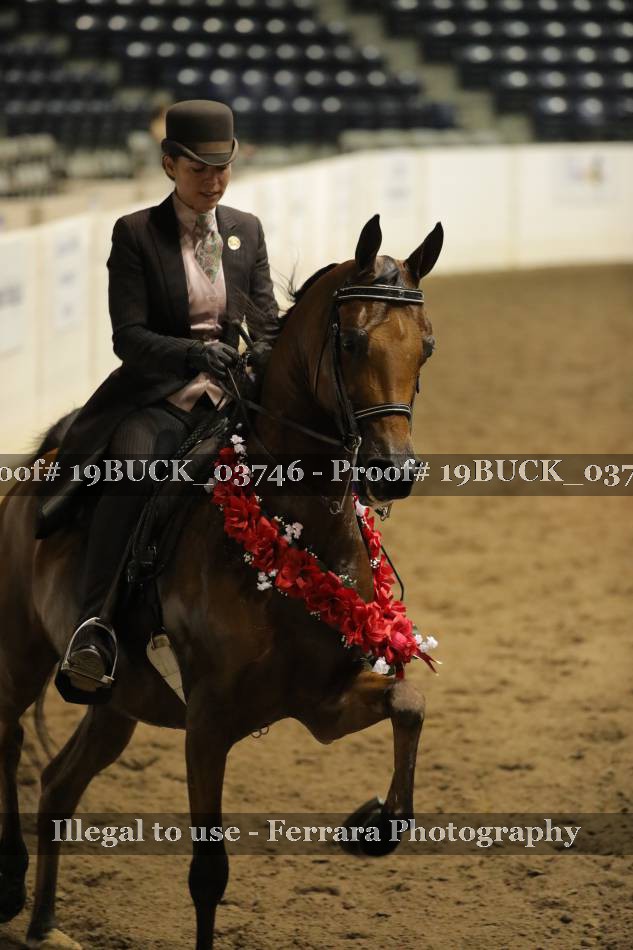 Proof 19BUCK_03746