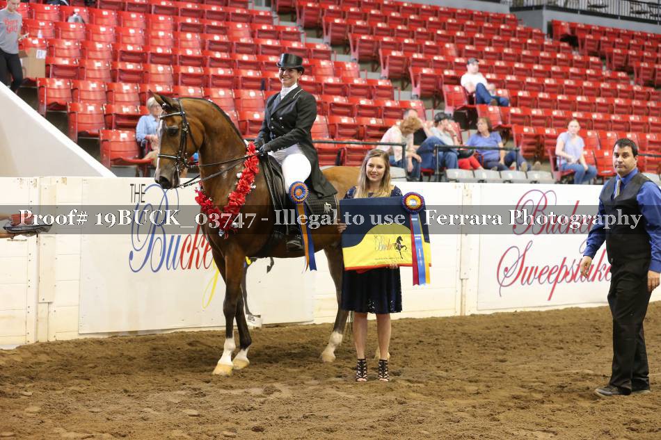 Proof 19BUCK_03747