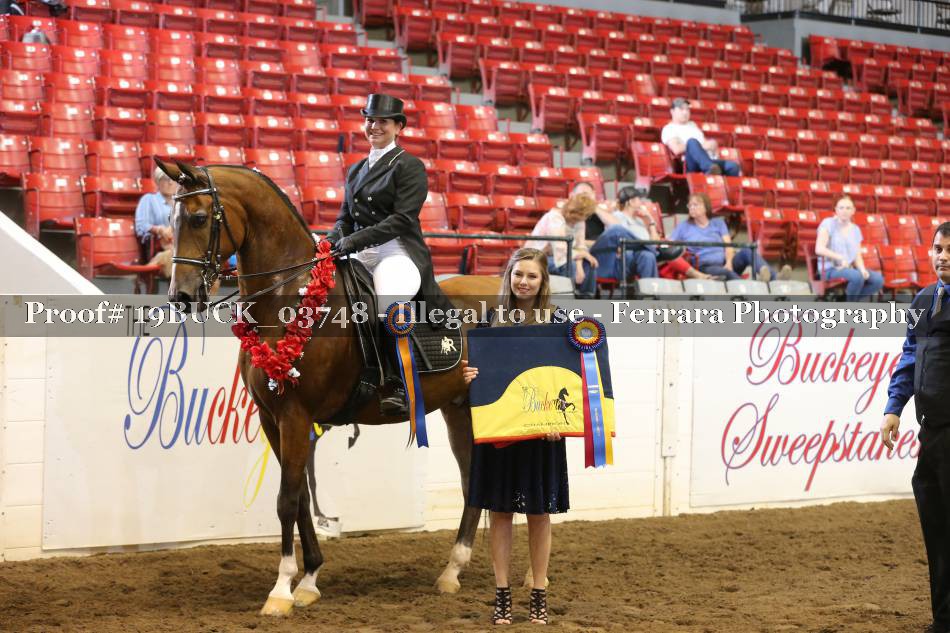 Proof 19BUCK_03748
