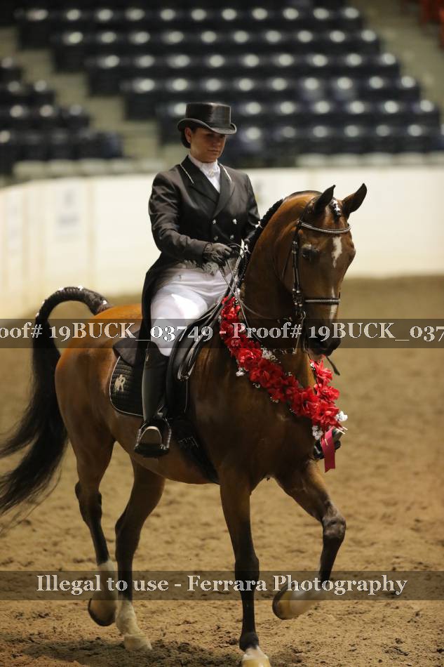 Proof 19BUCK_03749