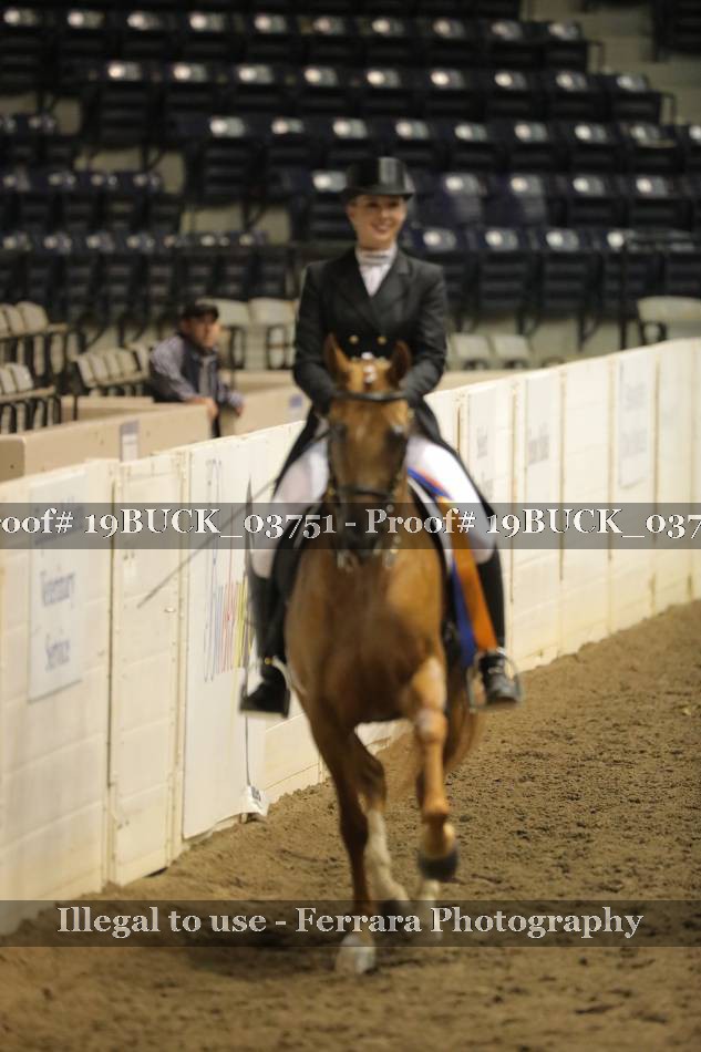 Proof 19BUCK_03751