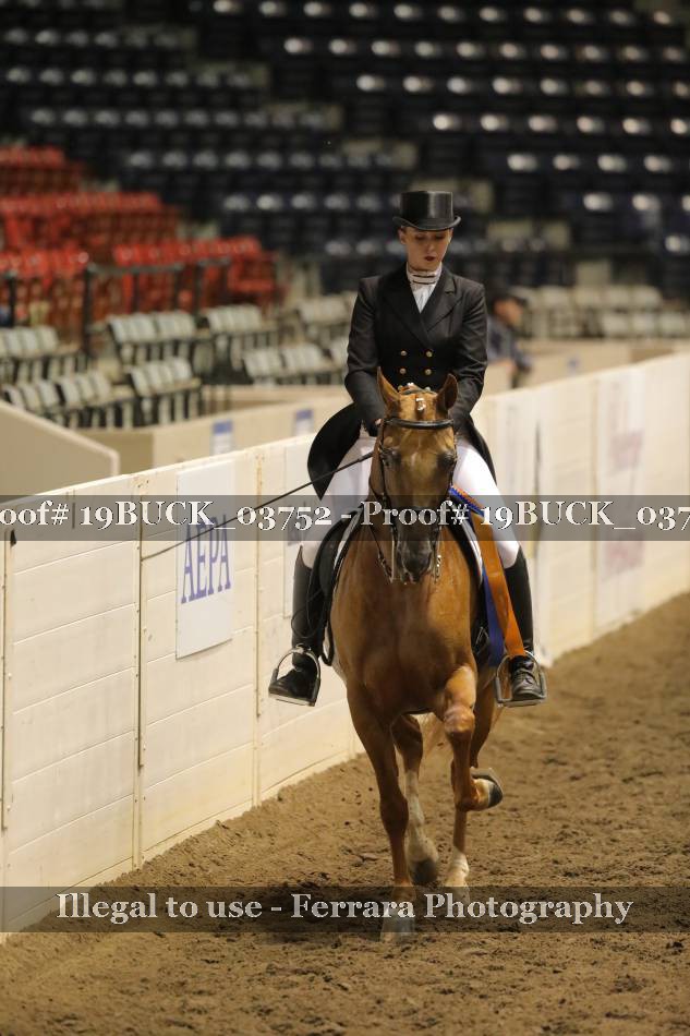 Proof 19BUCK_03752