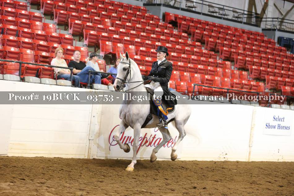 Proof 19BUCK_03753