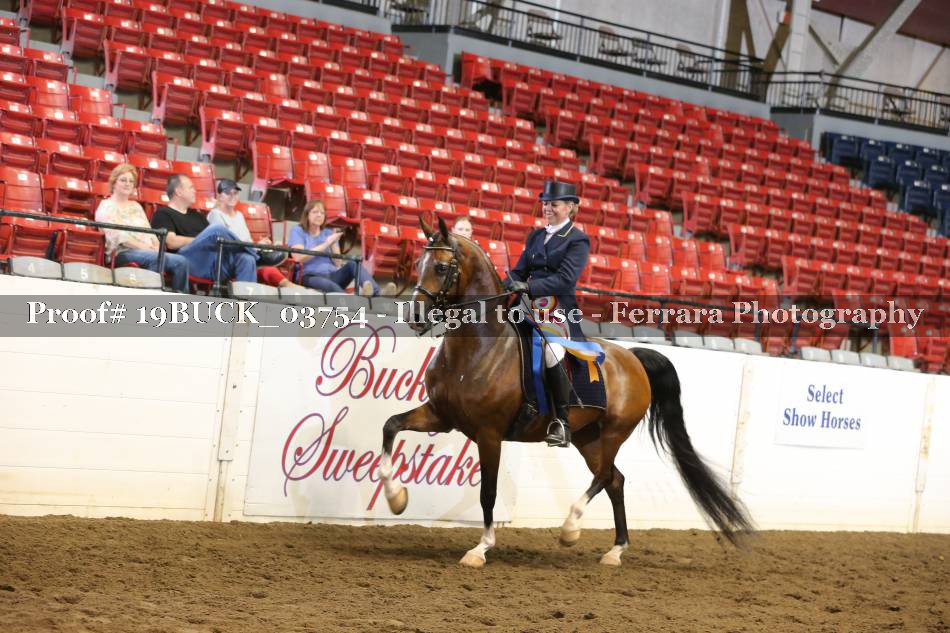 Proof 19BUCK_03754