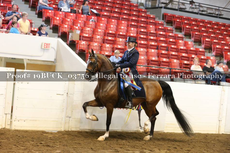 Proof 19BUCK_03756