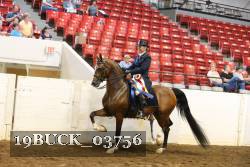 19BUCK_03756 proof