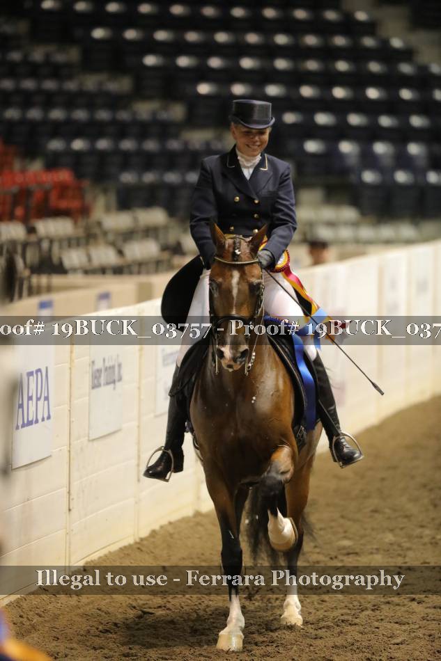 Proof 19BUCK_03757