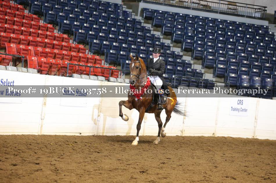 Proof 19BUCK_03758