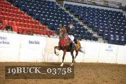 19BUCK_03758 proof